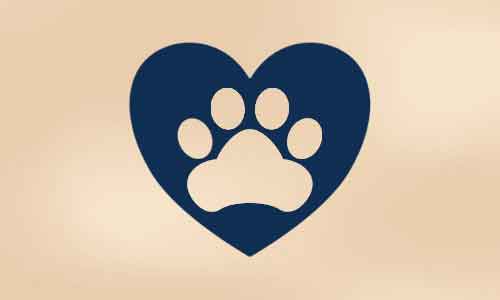 Pet Lovers